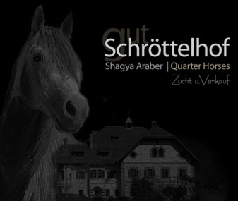 Gut Schröttelhof -Zucht und Verkauf von Shagya Araber und Quarter Horses